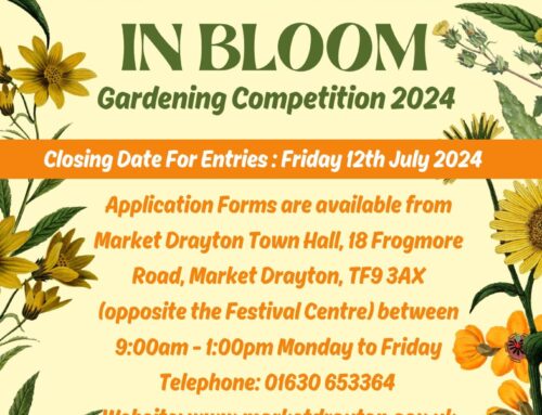In Bloom Gardening Competition 2024
