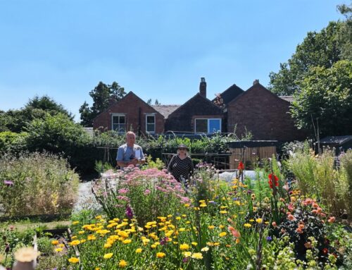 In Bloom Gardening Competition Judging 2026